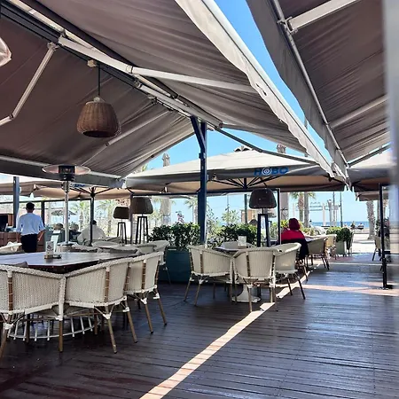 Alex 33 Larnaca
