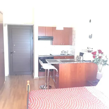 Alex 33 Apartament *