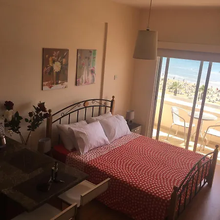 Alex 33 Apartament *