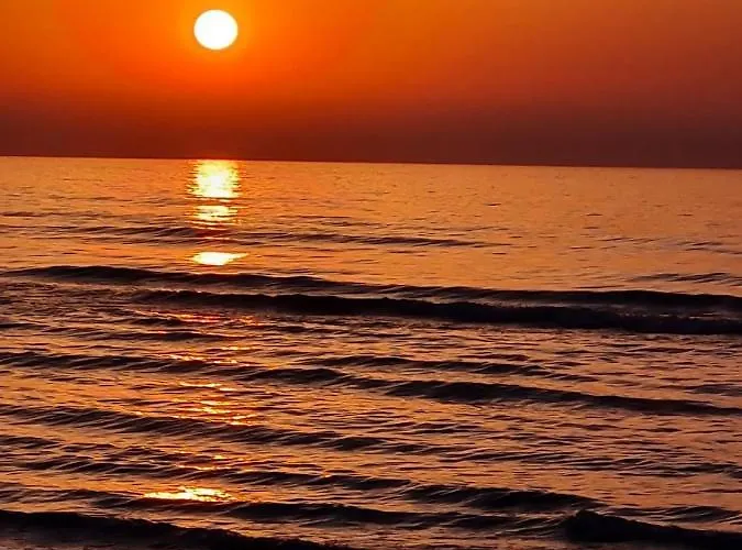 Lägenhet Alex 33 Larnaca