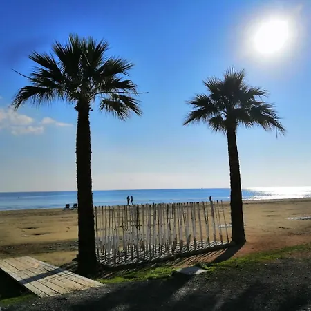 Alex 33 * لارنكا